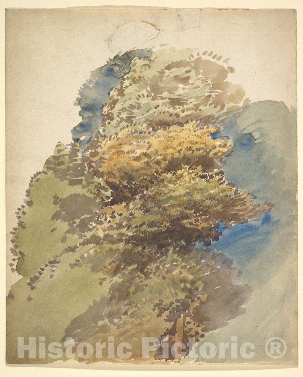 Art Print : George Richmond - Study of a Tree : Vintage Wall Art
