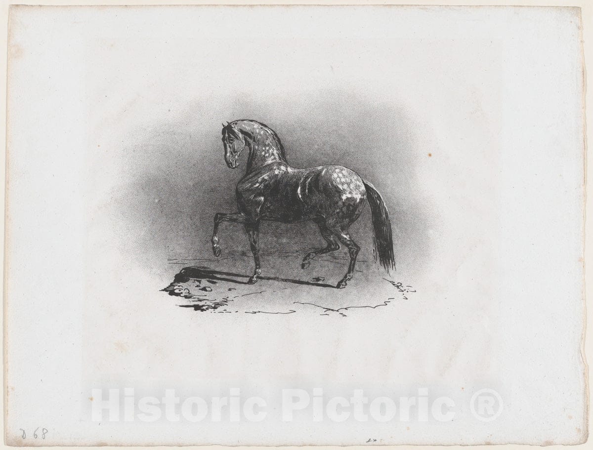 Art Print : Théodore Gericault - Dappled Horse : Vintage Wall Art