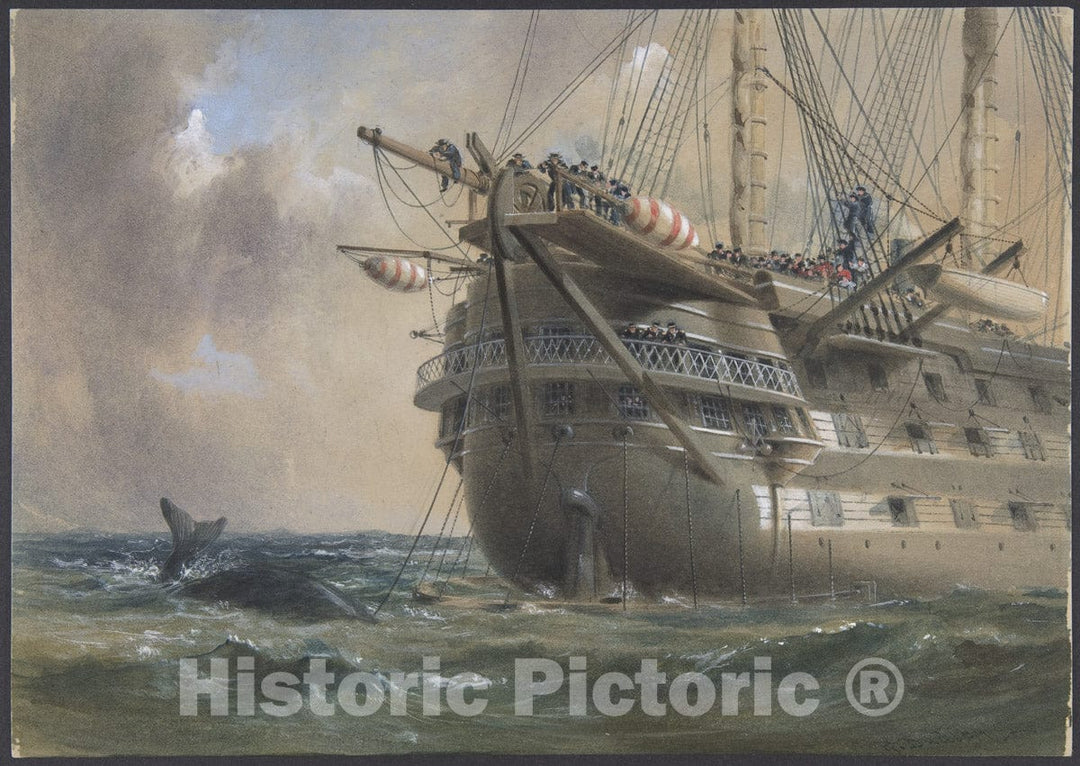 Art Print : Robert Charles Dudley - H.M.S. Agamemnon Laying The Atlantic Telegraph Cable in 1858: a Whale Crosses The Line : Vintage Wall Art