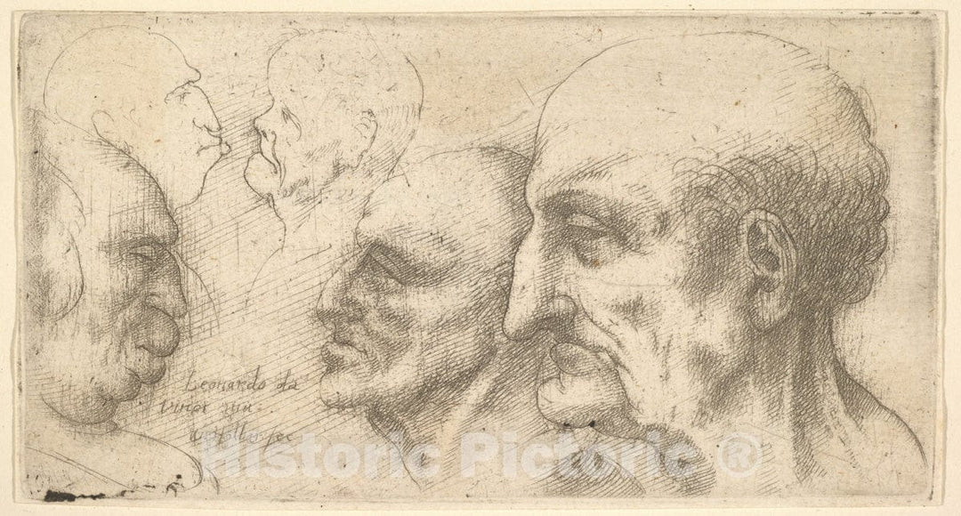 Art Print : Wenceslaus Hollar - Five Heads : Vintage Wall Art