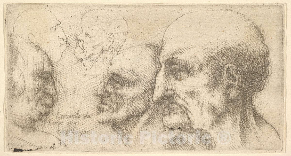 Art Print : Wenceslaus Hollar - Five Heads : Vintage Wall Art