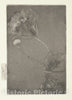 Art Print : Théodore Roussel - Poppy in a Vase : Vintage Wall Art