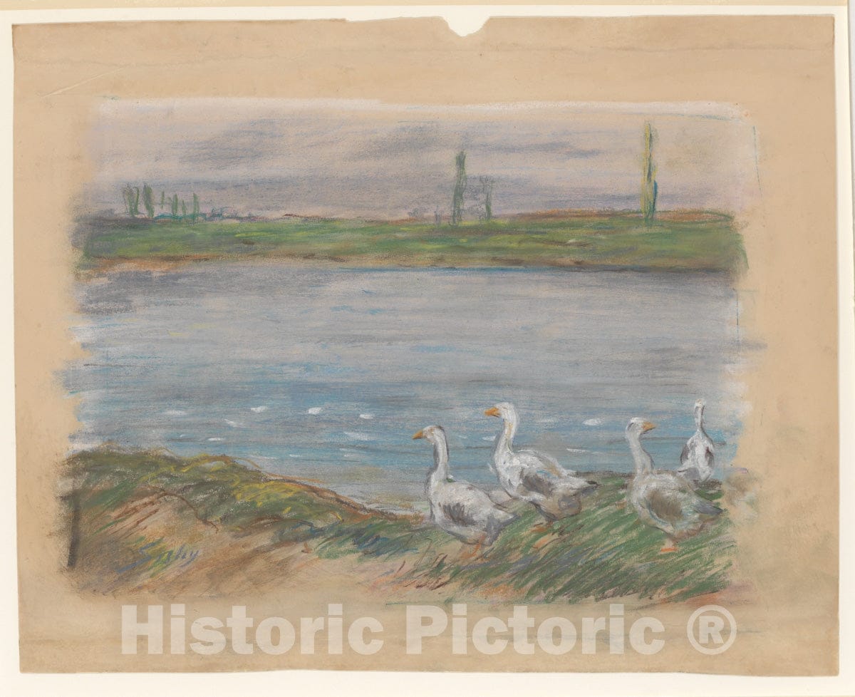 Art Print : Alfred Sisley - Four Geese by a Pond : Vintage Wall Art