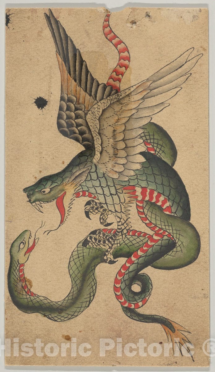 Art Print : Clark & Sellers - Tattoo Design with a Dragon and Snake (Inspired by Japanese Examples) : Vintage Wall Art