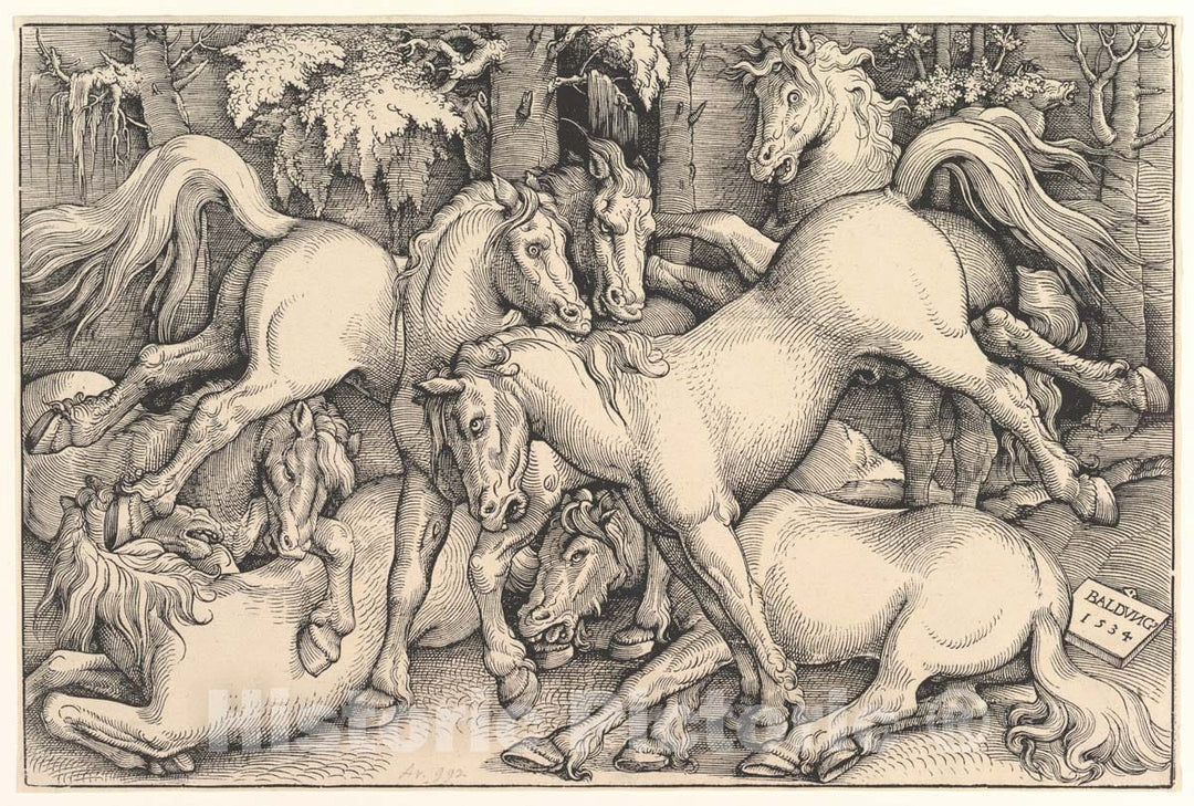 Art Print : Hans Baldung (Called Hans Baldung Grien) - Group of Seven Horses 2 : Vintage Wall Art