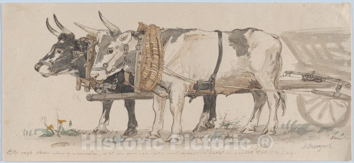 Art Print : Peter Christian Thamsen Skovgaard - Two Oxen Pulling a Cart : Vintage Wall Art