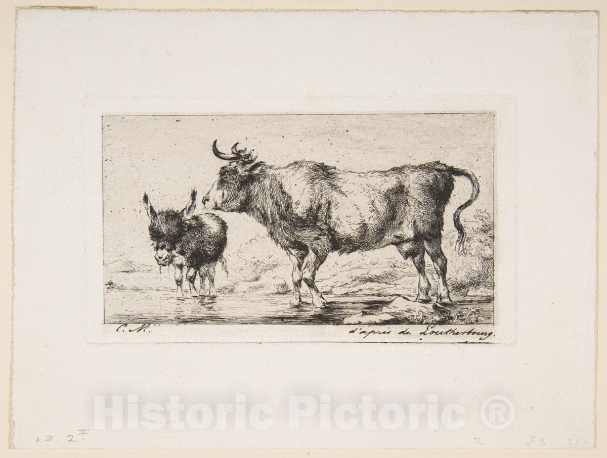 Art Print : Charles Meryon - Cow and Ass, After de Loutherbourg : Vintage Wall Art