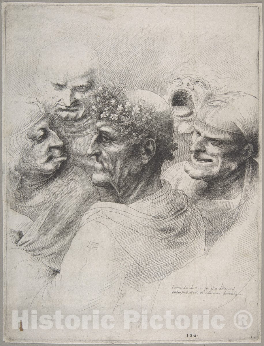 Art Print : Wenceslaus Hollar - Five Grotesque Heads, Including an Elderly Man with an Oak Leaf Wreath : Vintage Wall Art
