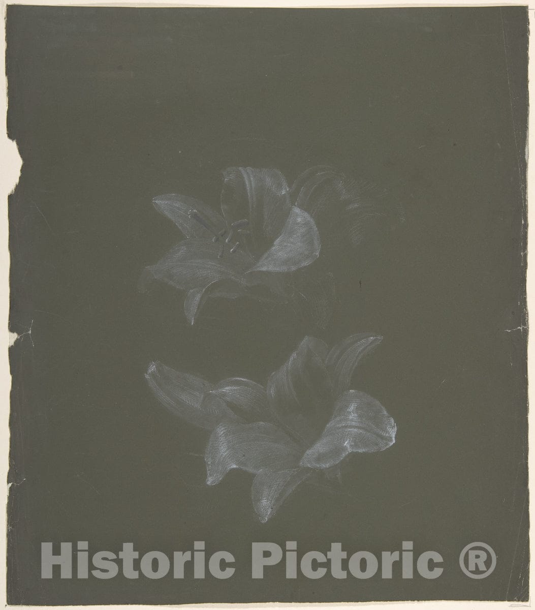 Art Print : Antoine Berjon - Floral Design - 426472 : Vintage Wall Art