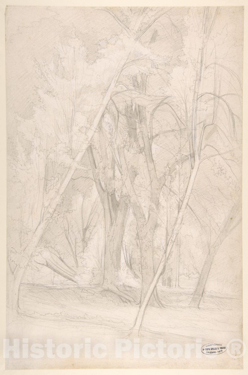 Art Print : Henri-Joseph Harpignies - Forest Interior : Vintage Wall Art