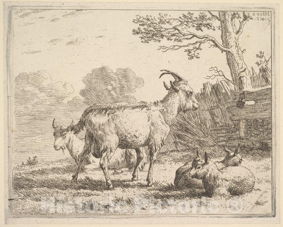 Art Print : Four Goats