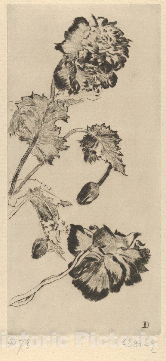 Art Print : Ernest-Ange Duez - Flowers (Fleurs) : Vintage Wall Art