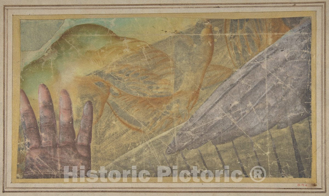 Art Print : School of Raphael (Raffaello Sanzio or Santi) - Fragment of a Tapestry Cartoon: Outstretched Hand, Body of a Seraph, and a Wing : Vintage Wall Art