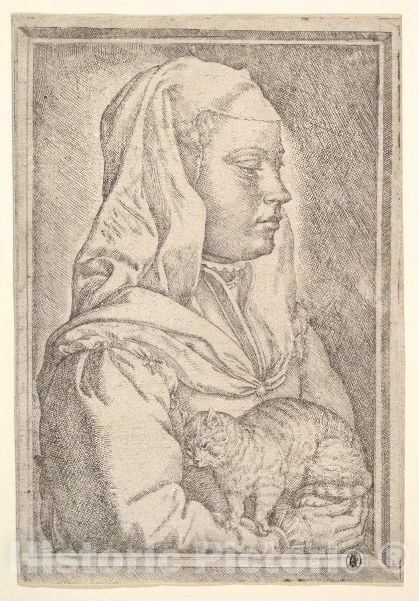 Art Print : Jan Cornelisz Vermeyen - Girl with a Cat : Vintage Wall Art
