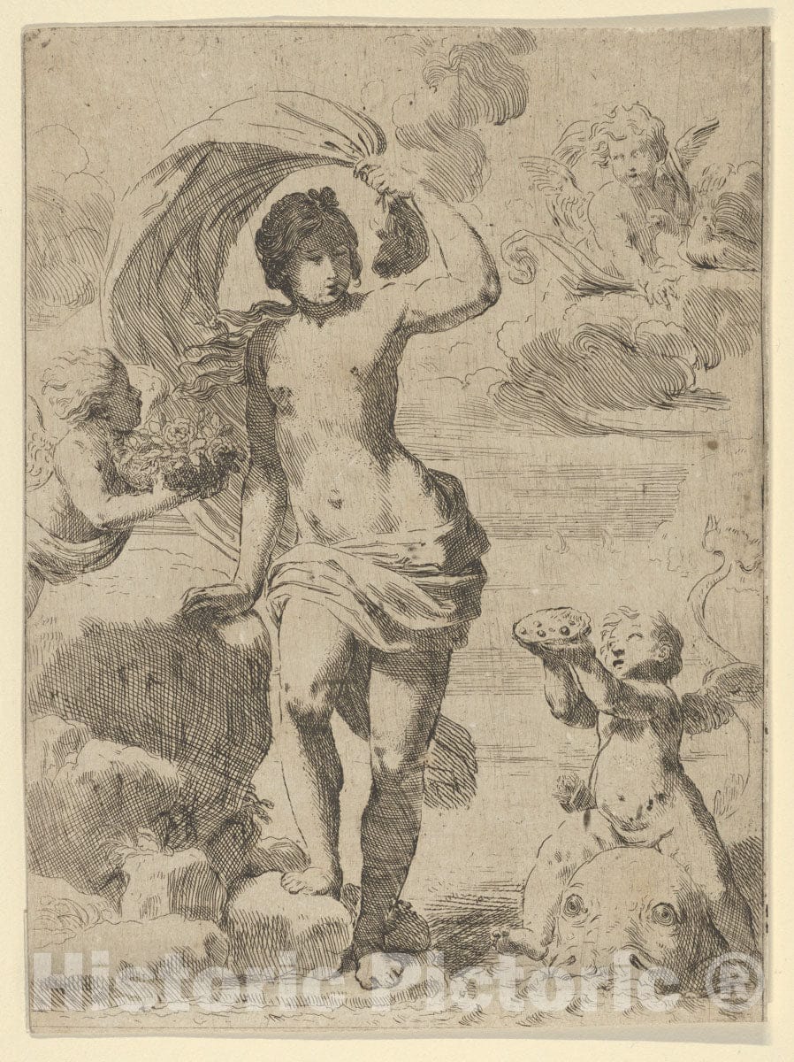Art Print : Venus Stepping Out of The sea - Artist: Guido Reni - Created: c1600 : Vintage Wall Art