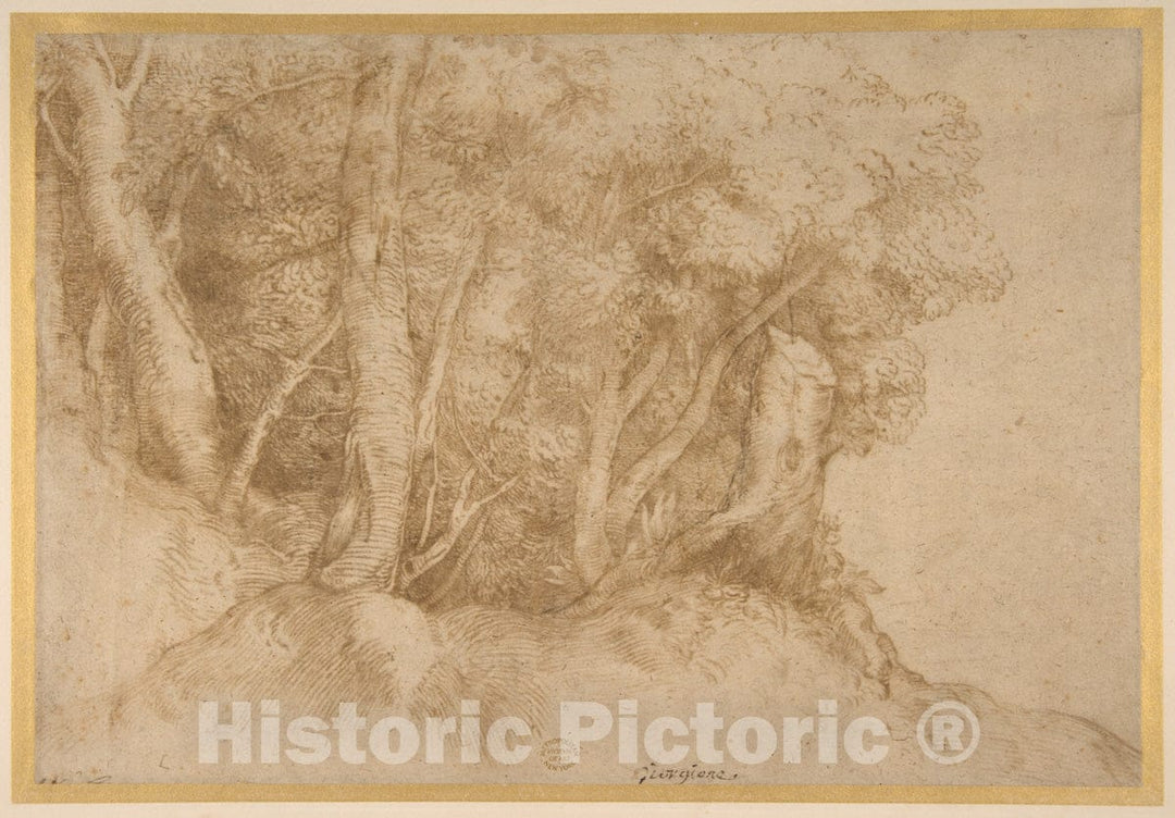 Art Print : Titian (Tiziano Vecellio) - Group of Trees : Vintage Wall Art