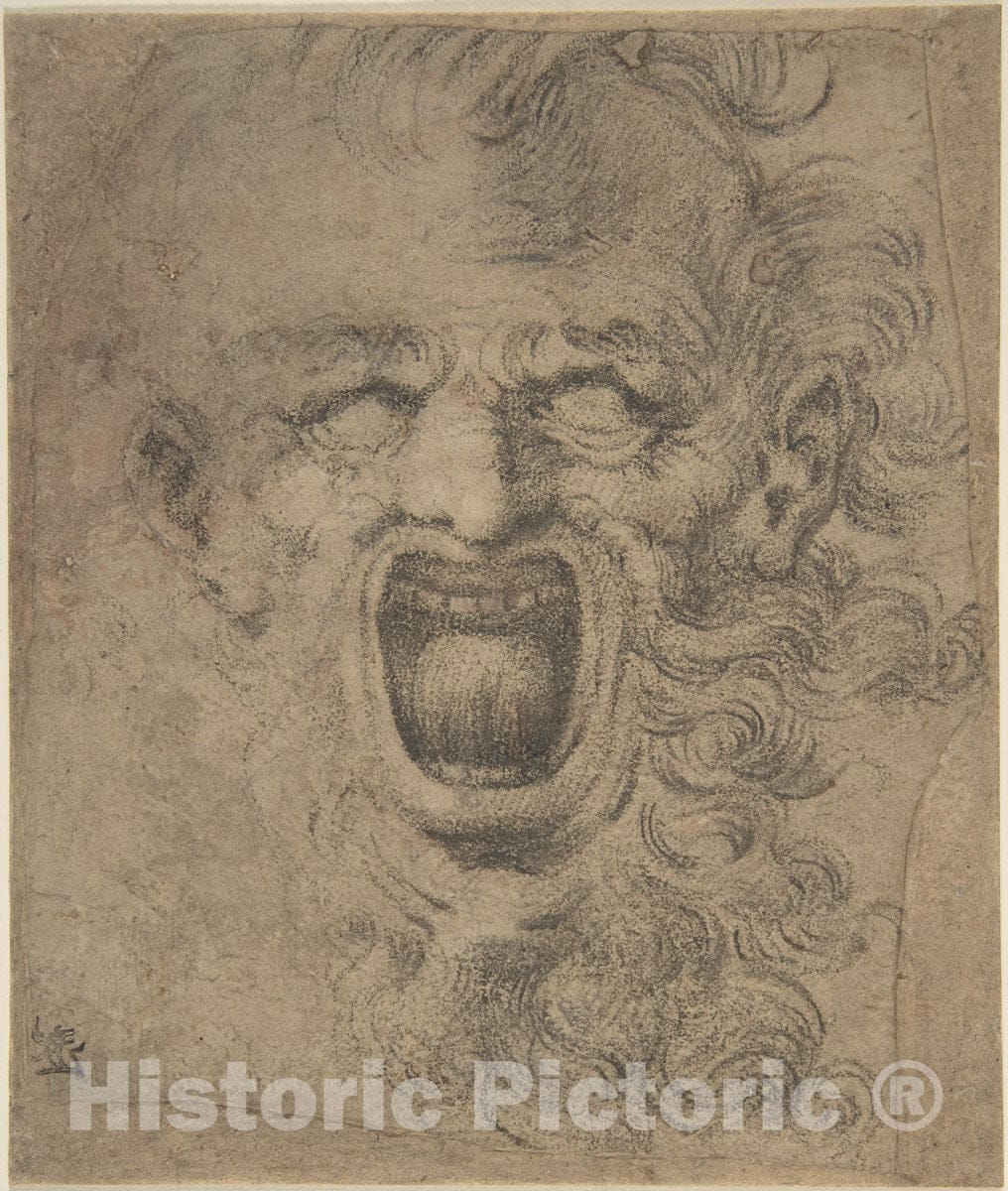 Art Print : Italian, 16th to 17th Century - Grotesque Head with Curly Beard : Vintage Wall Art