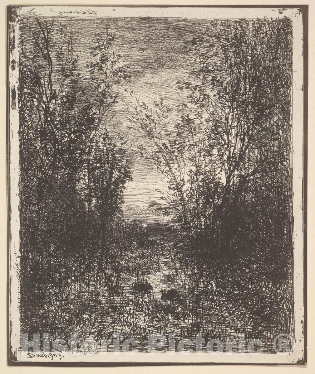 Art Print : Charles-François Daubigny - Stream in a Clearing : Vintage Wall Art
