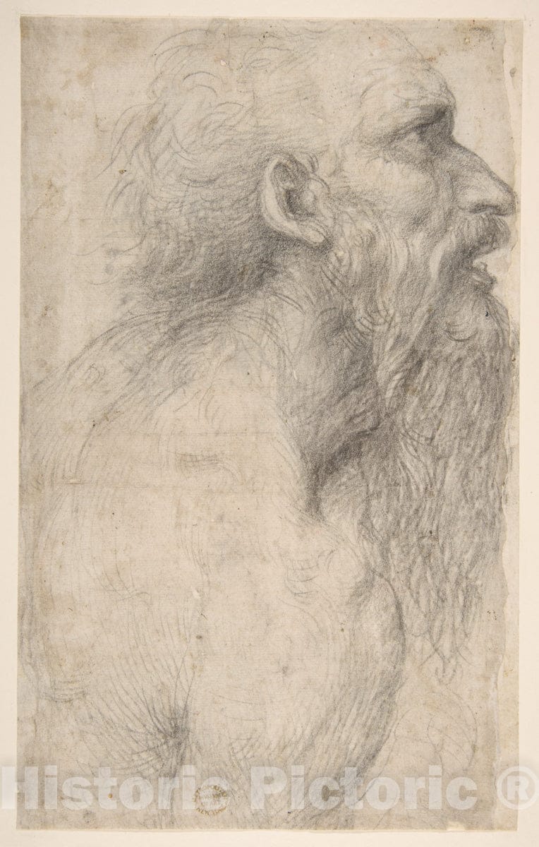 Art Print : Sodoma (Giovanni Antonio Bazzi) - Bust of a Man with Long Beard (Recto) : Vintage Wall Art