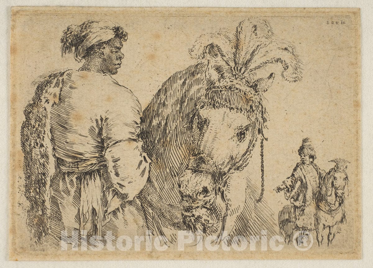 Art Print : Stefano Della Bella - A Black Man Feeding a Horse : Vintage Wall Art