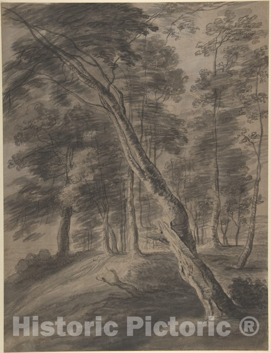 Art Print : Jacques d'Artois - Forest Scene with Tree in Foreground : Vintage Wall Art