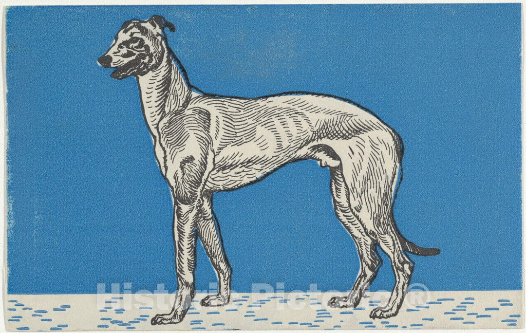 Art Print : Moriz Jung - Greyhound 3 : Vintage Wall Art