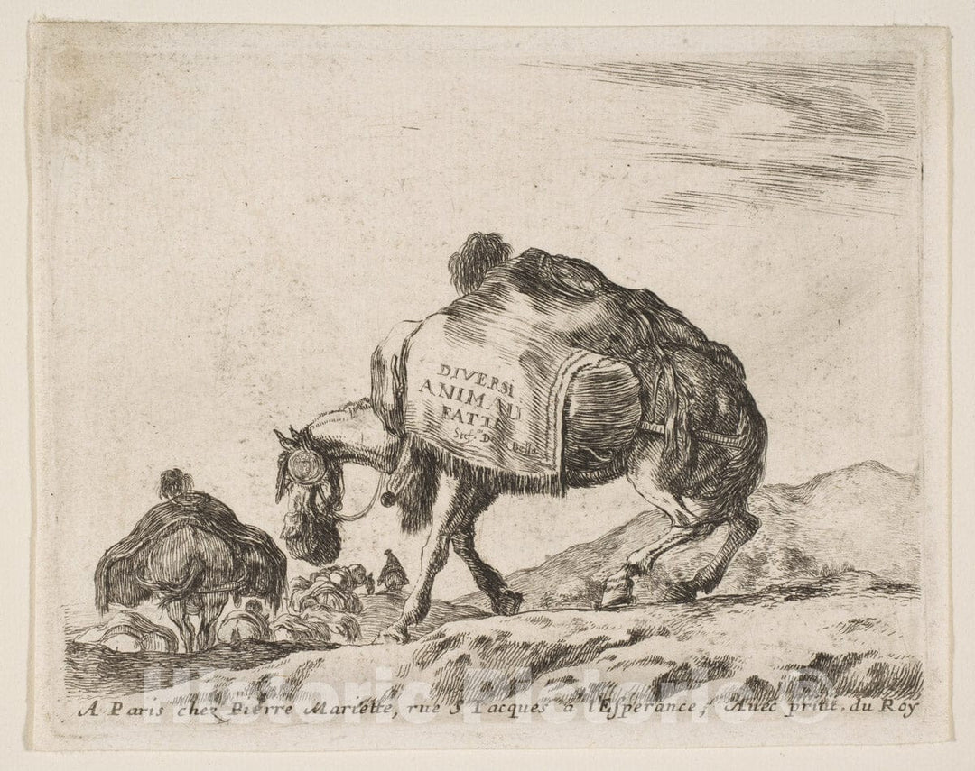 Art Print : Stefano Della Bella - Frontispiece for Diversi Animali: Pack Horse : Vintage Wall Art