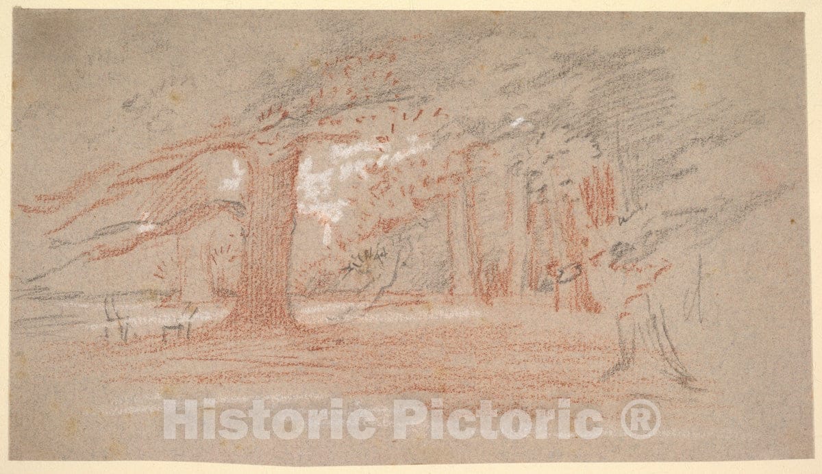 Art Print : George Richmond - Cedar Trees in a Park : Vintage Wall Art