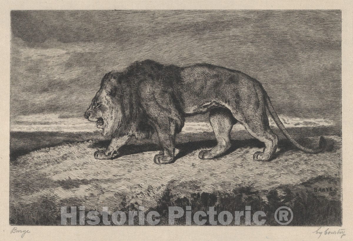 Art Print : Charles Courtry - Lion Walking : Vintage Wall Art