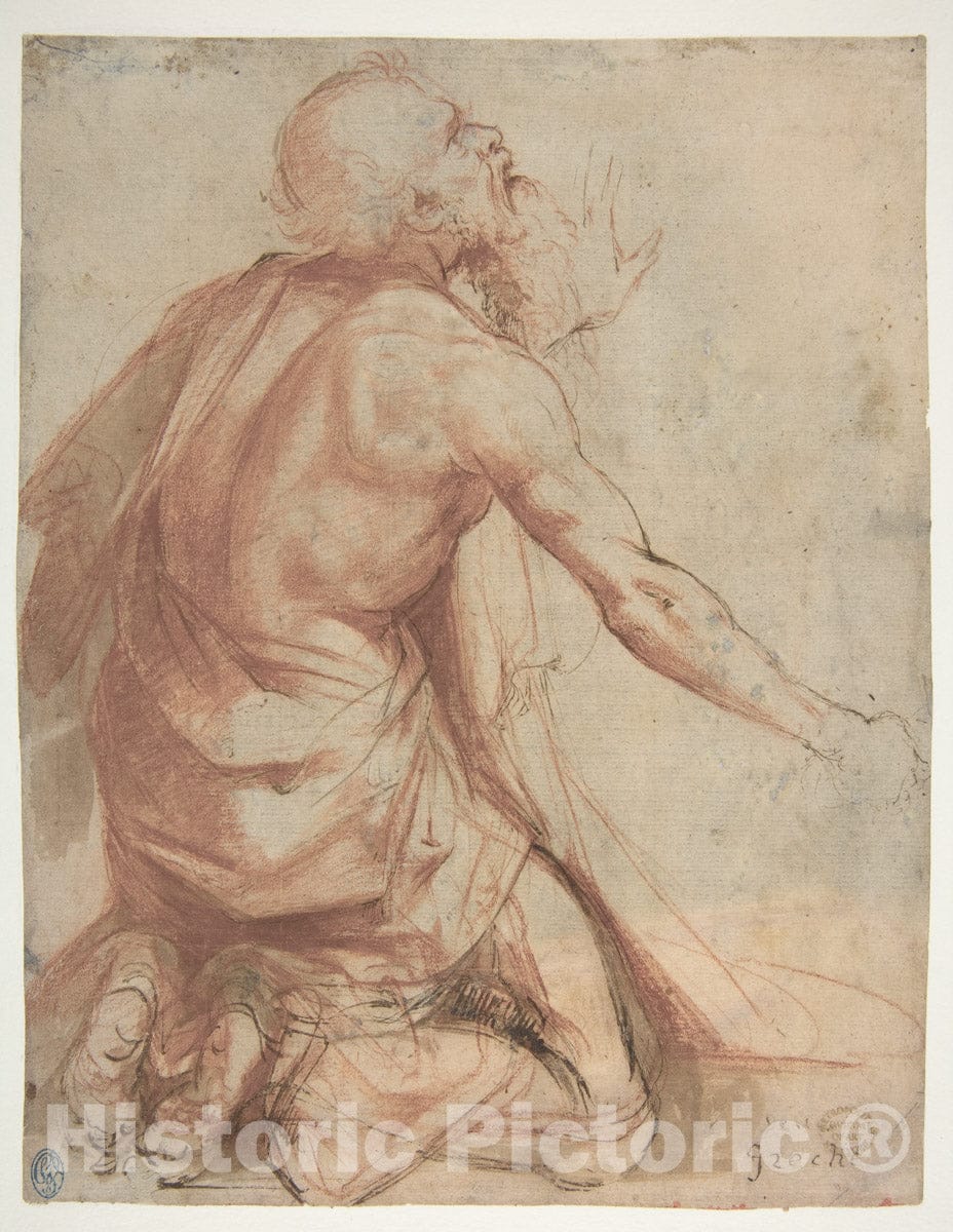 Art Print : Nosadella (Giovanni Francesco Bezzi) - Kneeling Bearded Old Man (Recto)