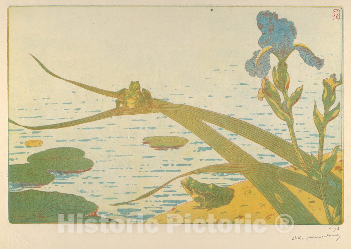 Art Print : Charles Louis M. Houdard - Frogs (Grenouilles) : Vintage Wall Art