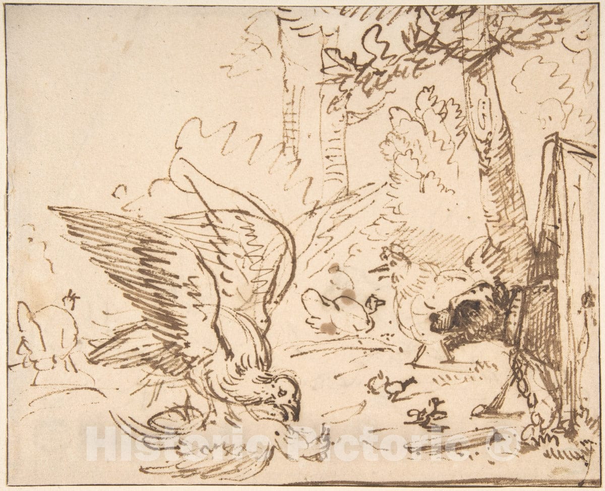 Art Print : Anthonie Van Borssom - Barnyard Scene: Two Birds Fighting (Recto) Studies of Birds(Verso) : Vintage Wall Art