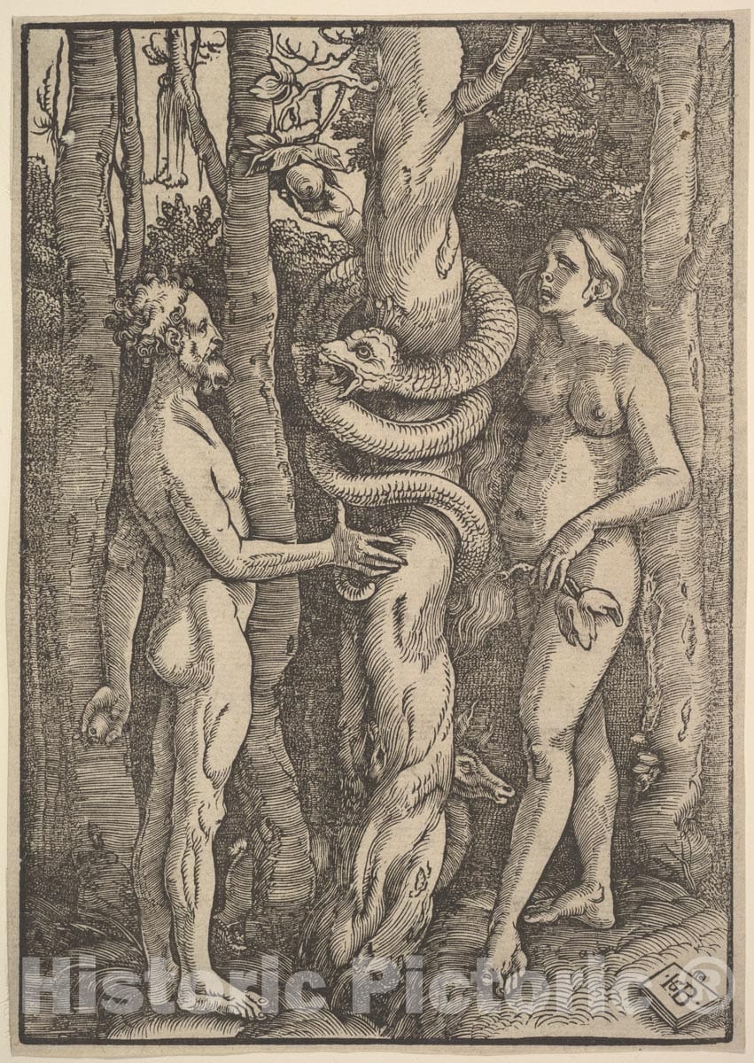 Art Print : Hans Baldung (Called Hans Baldung Grien) - Adam and Eve 1 : Vintage Wall Art
