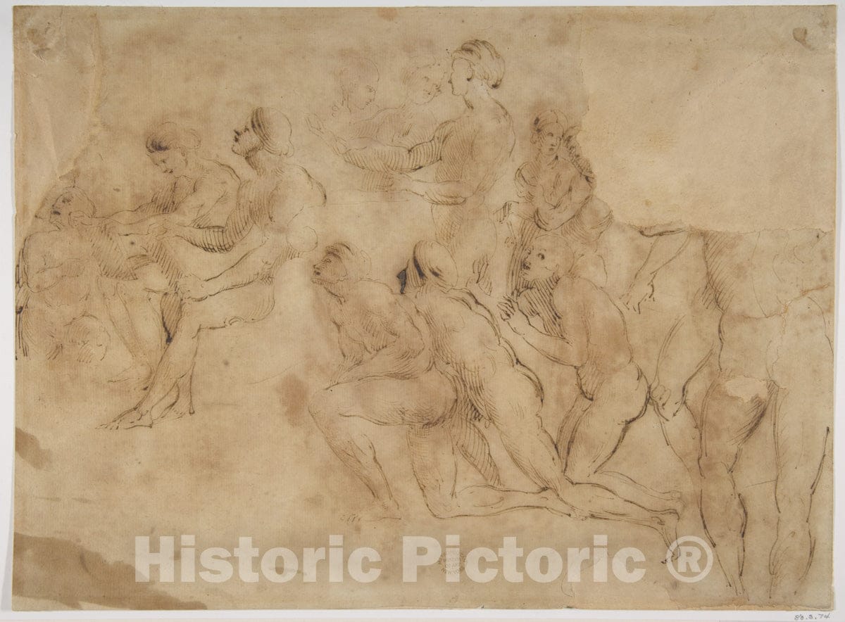 Art Print : After Raphael (Raffaello Sanzio or Santi) - Figure Studies (After Raphael's Disputa) : Vintage Wall Art