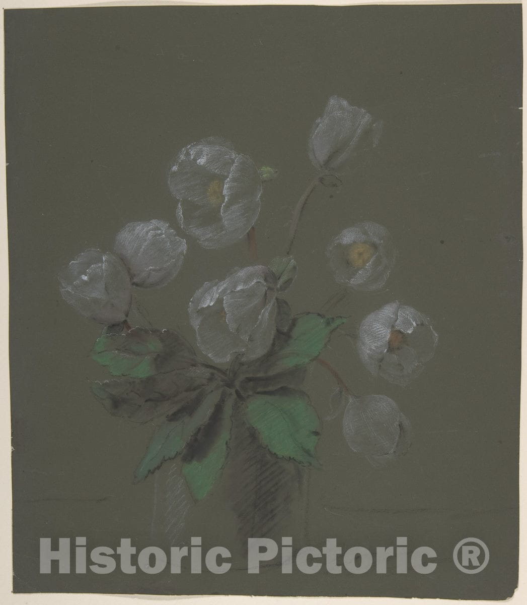 Art Print : Antoine Berjon - Floral Design - 431771 : Vintage Wall Art