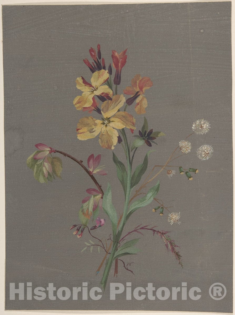 Art Print : Antoine Berjon - Floral Design - 432178 : Vintage Wall Art