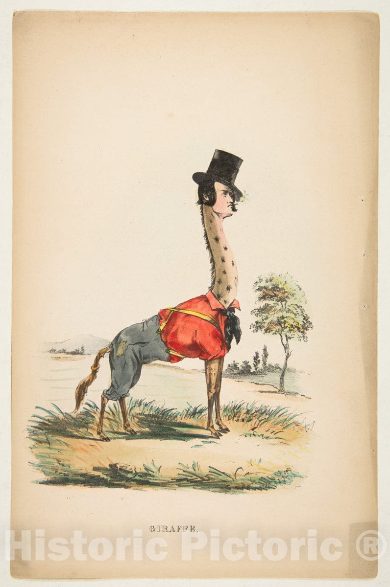 Art Print : Henry Louis Stephens - Giraffe (John E. Owens as Jakey), from The Comic Natural History of The Human Race : Vintage Wall Art