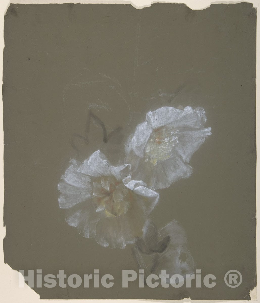 Art Print : Antoine Berjon - Floral Design : Vintage Wall Art