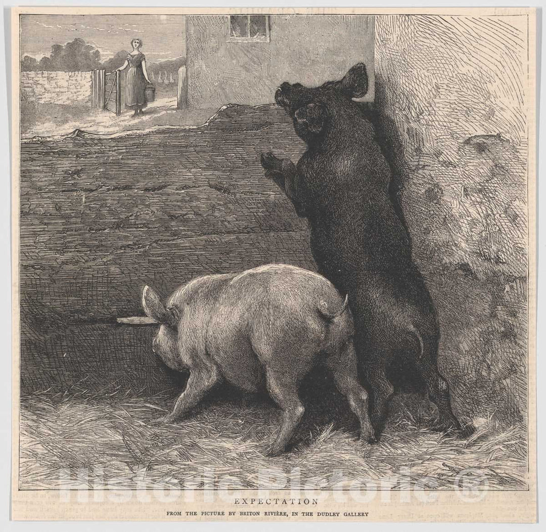 Art Print : Briton Riviere - Expectation, from The Graphic : Vintage Wall Art