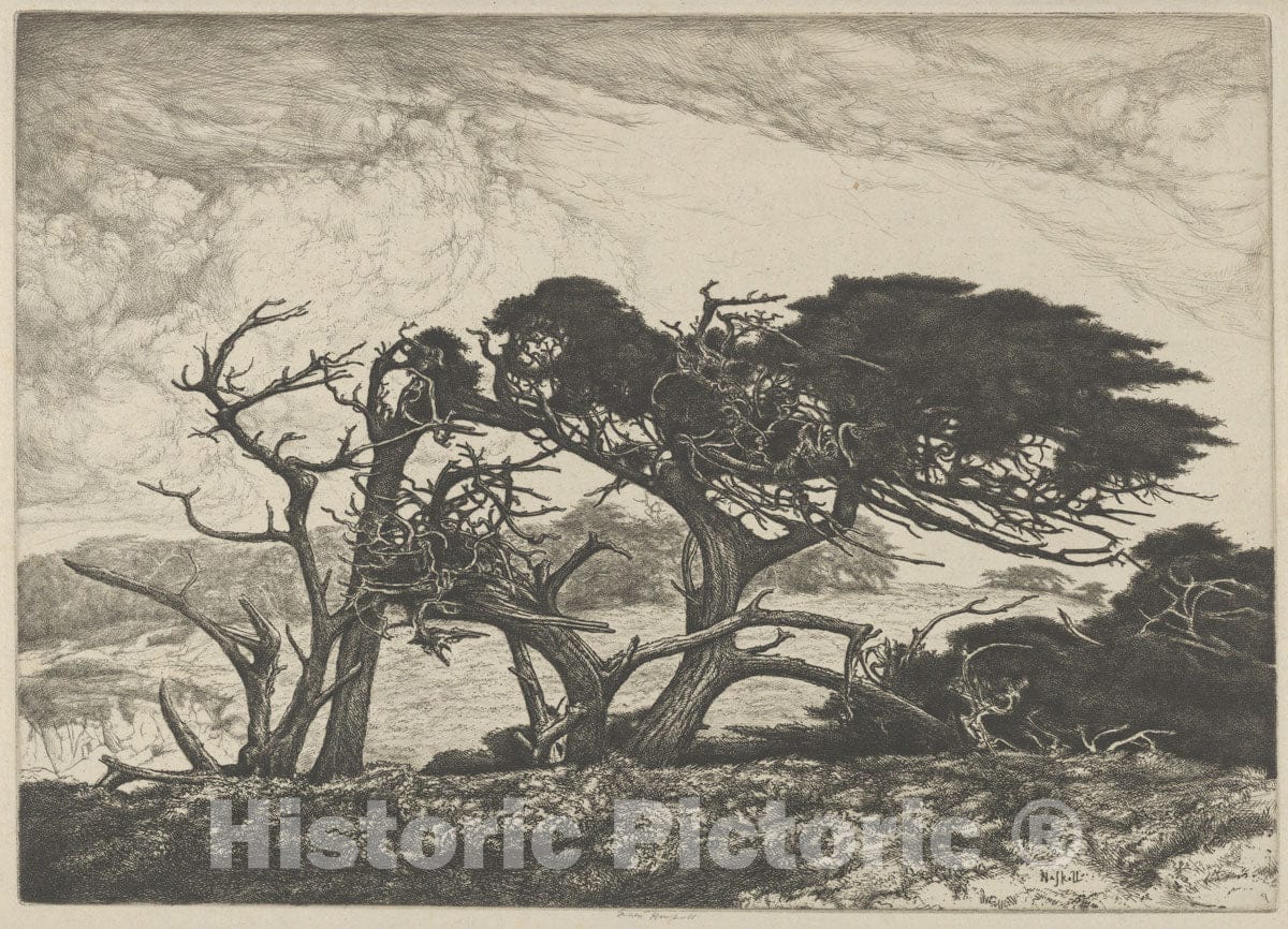 Art Print : Ernest Haskell - El Torro : Vintage Wall Art