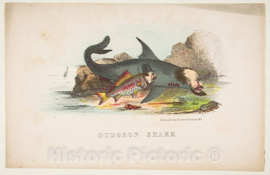 Art Print : Henry Louis Stephens - Gudgeon and Shark, from The Comic Natural History of The Human Race : Vintage Wall Art