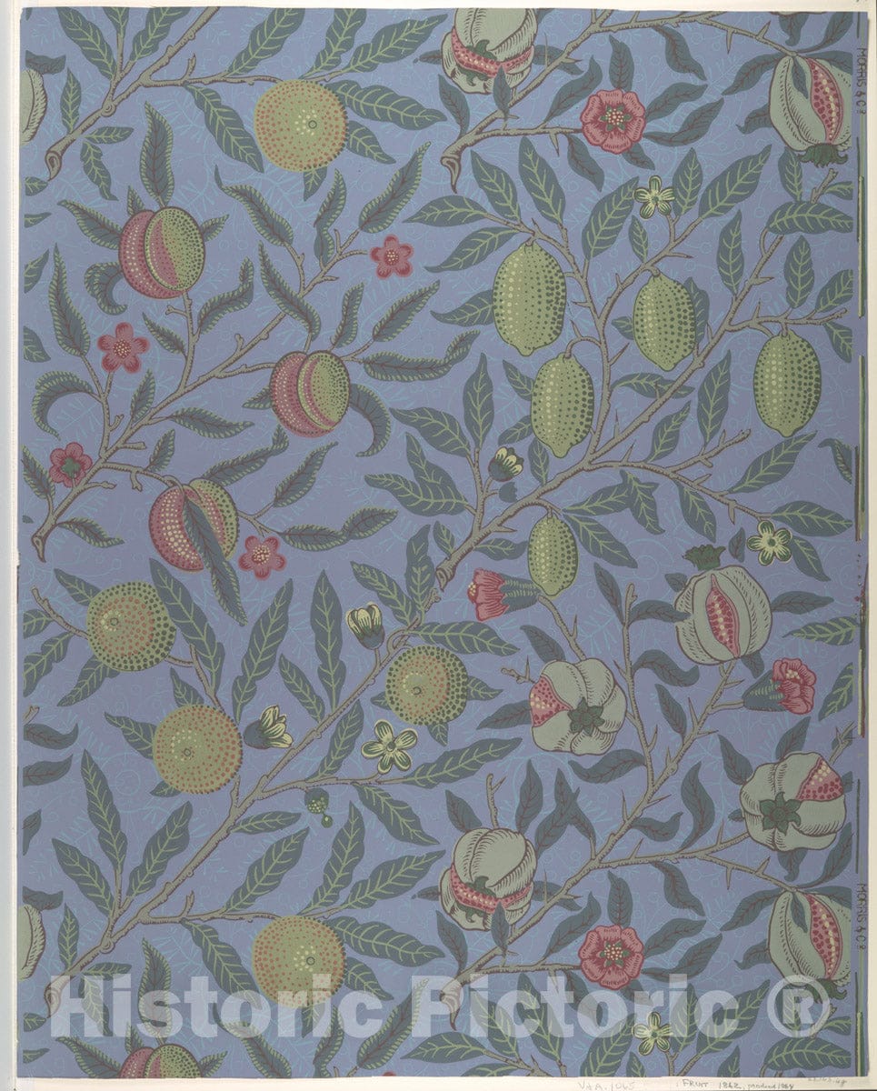 Art Print : William Morris - Fruit or Pomegranate : Vintage Wall Art