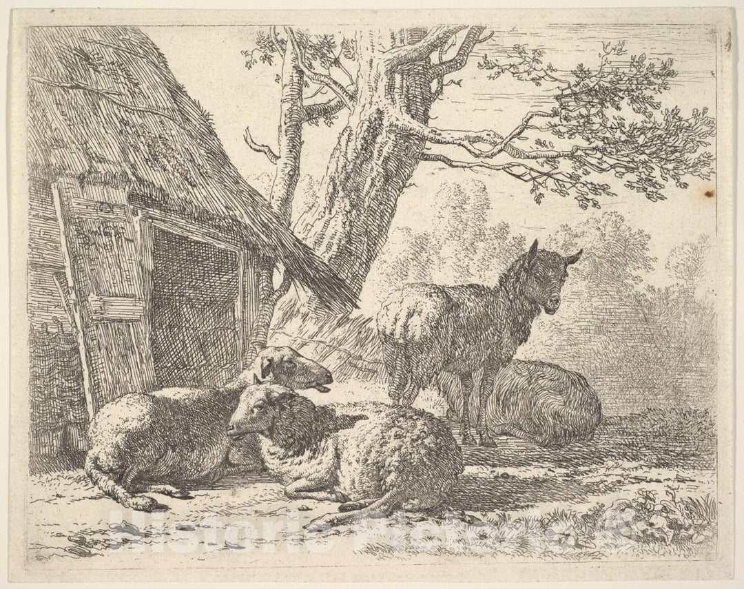 Art Print : Karel Dujardin - Four Sheep, one Sheep Stands Among Three Others Lying on The Ground Next to a shed with thatched roof and Open Door : Vintage Wall Art
