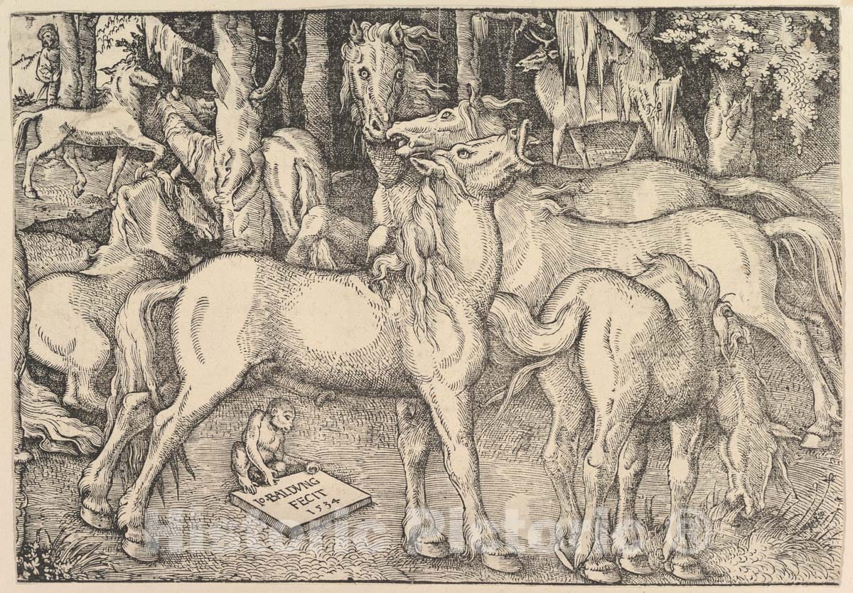 Art Print : Hans Baldung (Called Hans Baldung Grien) - Group of Seven Horses 1 : Vintage Wall Art