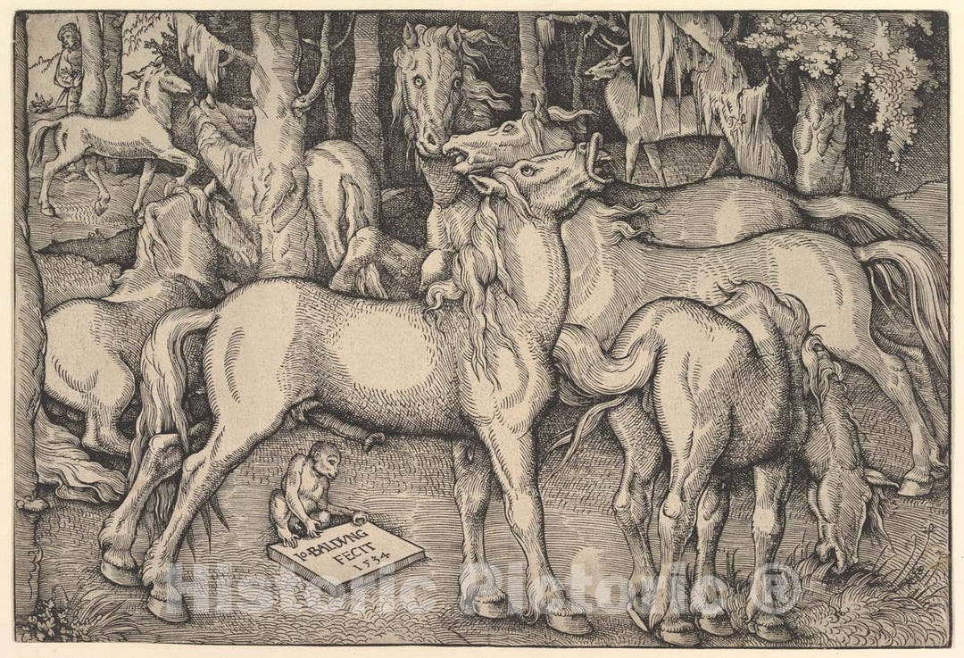 Art Print : Hans Baldung (Called Hans Baldung Grien) - Group of Seven Horses - 435178 : Vintage Wall Art