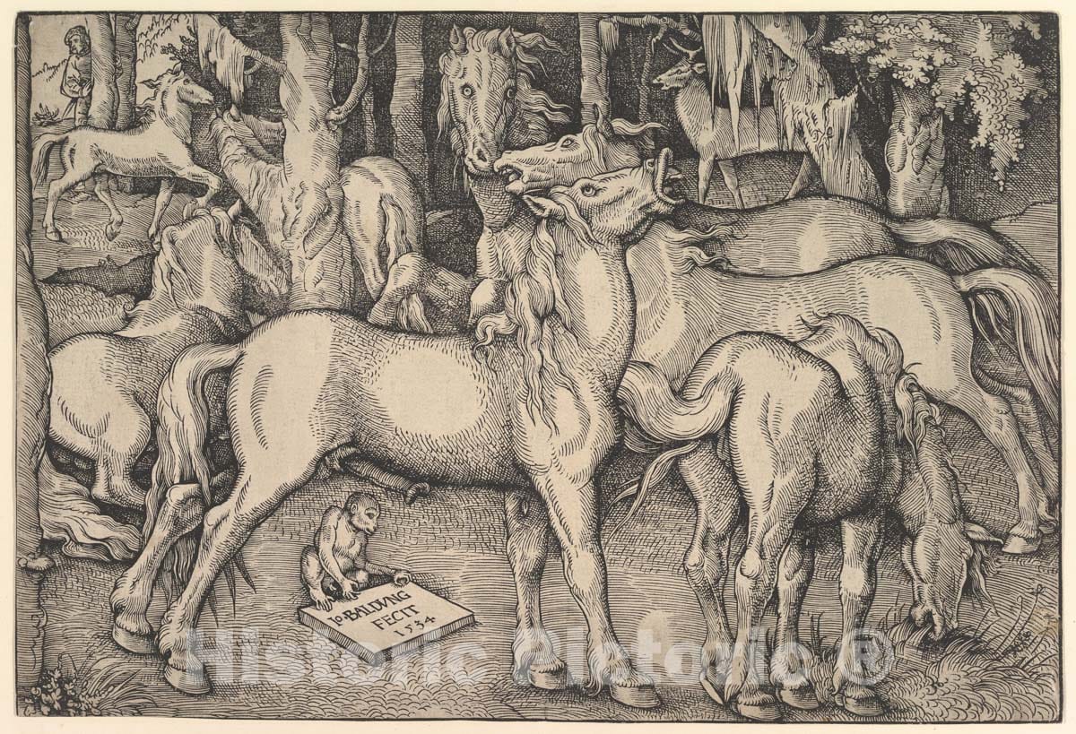 Art Print : Hans Baldung (Called Hans Baldung Grien) - Group of Seven Horses - 435178 : Vintage Wall Art