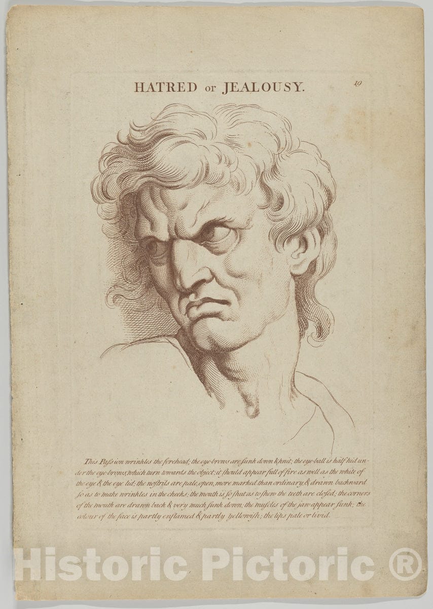 Art Print : Hatred or Jealousy - Artist: Charles Le Brun - Created: 1765 : Vintage Wall Art