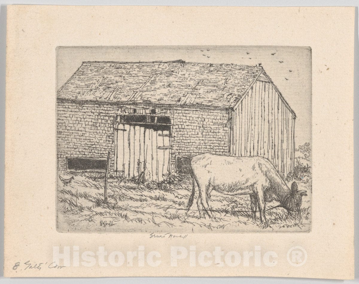 Art Print : Ernest Haskell - Galt's Cow : Vintage Wall Art