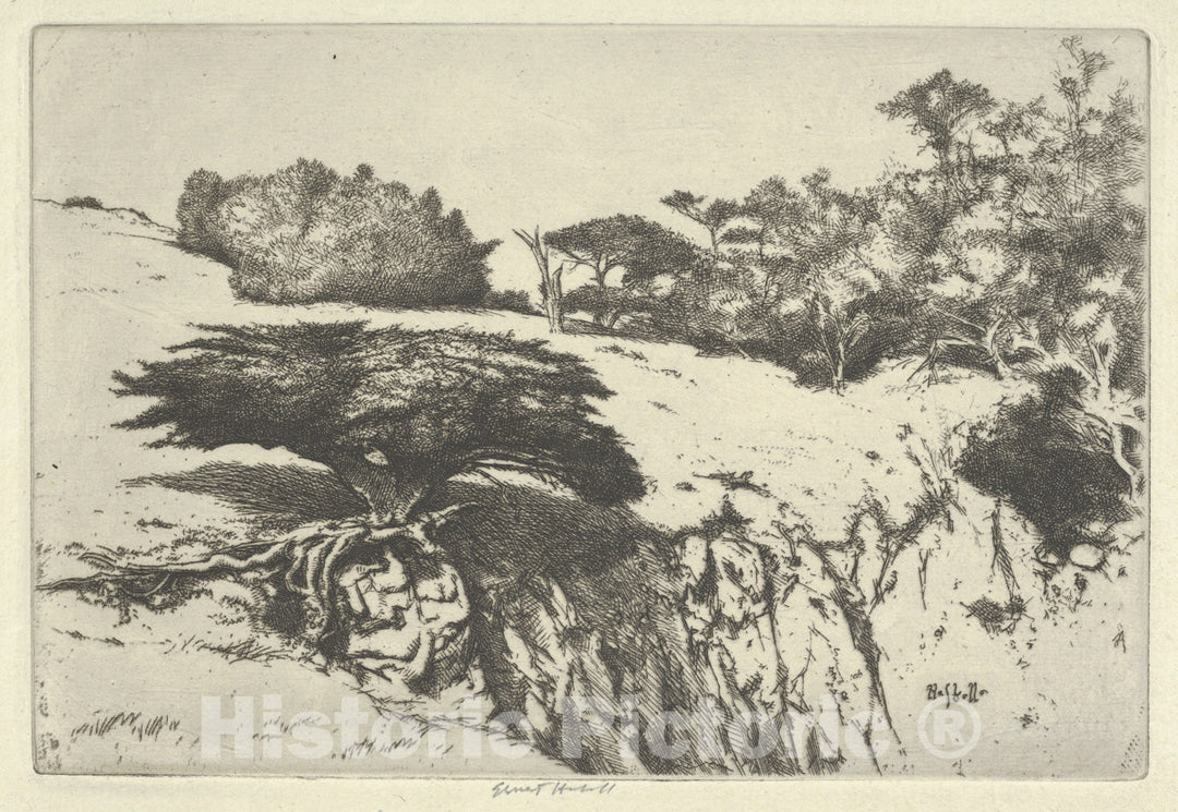 Art Print : Ernest Haskell - Fan Tree and Her Canyon : Vintage Wall Art