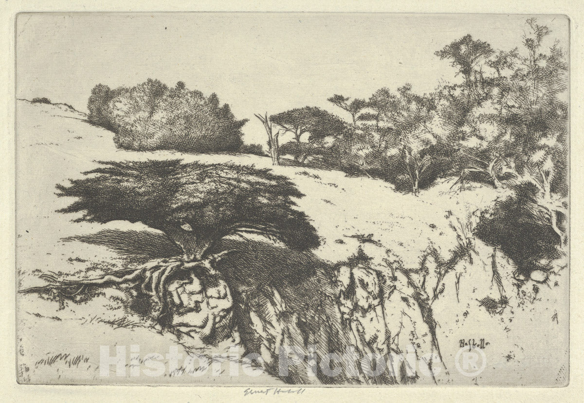 Art Print : Ernest Haskell - Fan Tree and Her Canyon : Vintage Wall Art